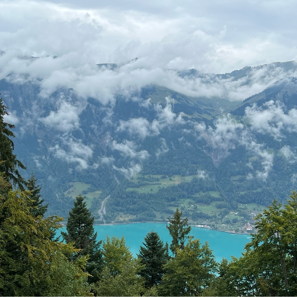 Meet your Posher, sylvia